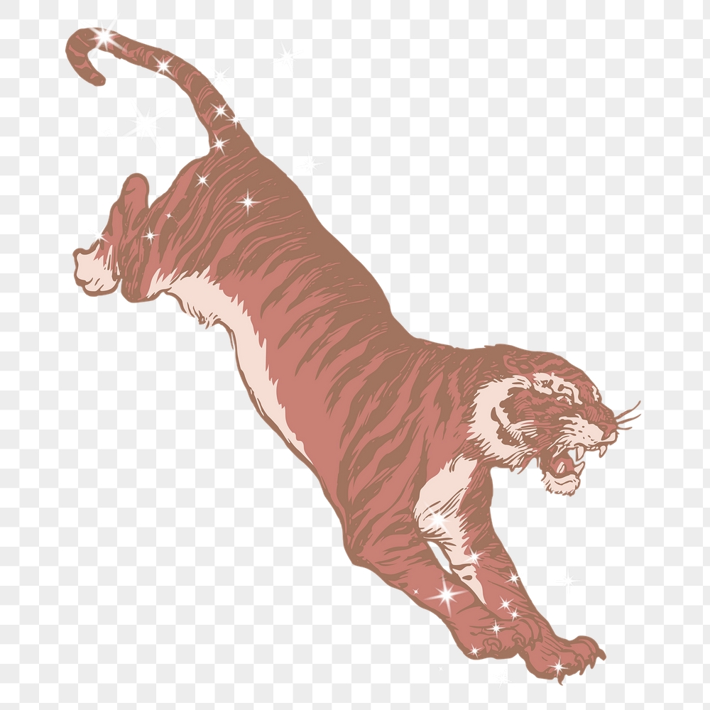 Tiger png sticker, animal sparkly | Free PNG Illustration - rawpixel
