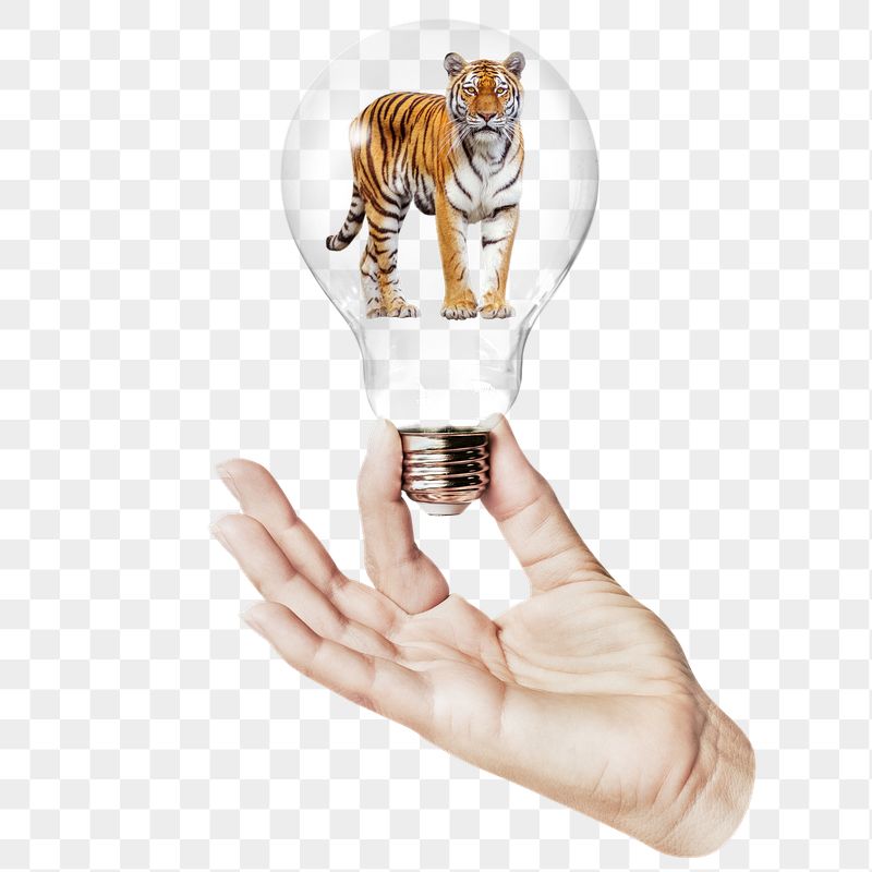 Tiger png sticker, hand holding | Free PNG - rawpixel