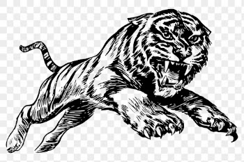 Tiger png sticker, predator animal | Free PNG - rawpixel