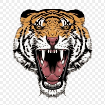 Tiger png sticker, wild animal | Free PNG - rawpixel