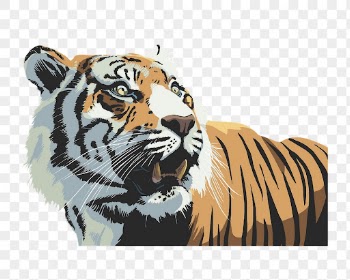 Tiger png sticker, wildlife illustration | Free PNG - rawpixel