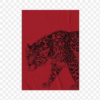 Tiger poster png transparent, Chinese | Free PNG Sticker - rawpixel
