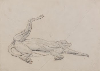 Tiger, Recumbent, Viewed Ventrally by George | Free Photo - rawpixel