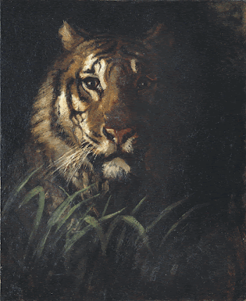 Tiger's Head painting in high | Free Photo - rawpixel