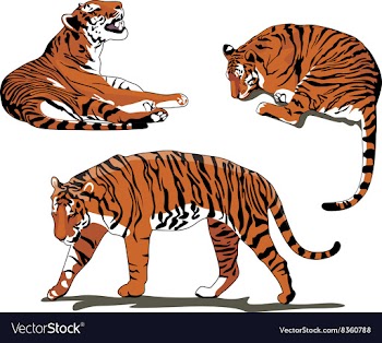 Tiger Set vector image
