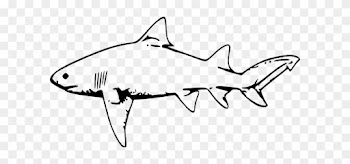 Tiger Shark Clip Art Free Clipart Images - Shark Black And White