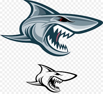 Tiger shark Clip art - Vector vicious shark 