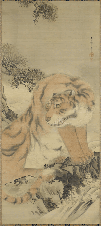 tiger sitting with head turned | Free Photo - rawpixel