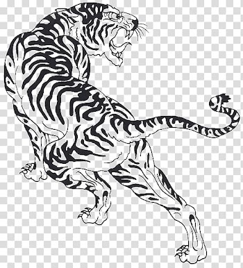 Tiger sketch, Tiger Cat Felidae Black and white Line art, Tiger Tattoos transparent background PNG clipart