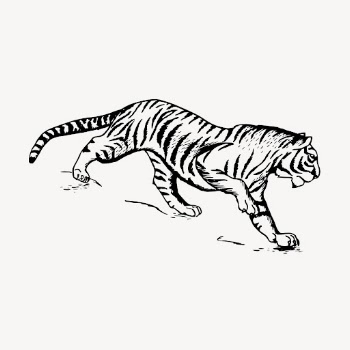Tiger, vintage animal clipart vector. | Free Vector Illustration - rawpixel