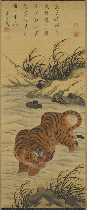 tiger wading across stream; grasses | Free Photo - rawpixel