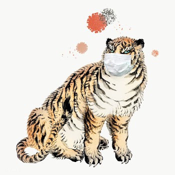 Tiger wearing a surgical mask during the coronavirus pandemic | Free  transparent png - 2318591