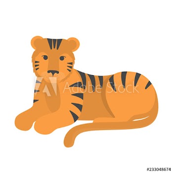 Tiger wild animal from the safari nature
