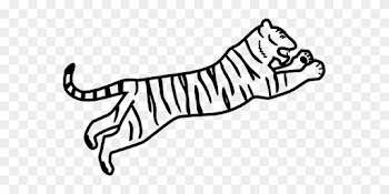 Tiger Wildcat Animal Cat Nature Mammal Wil - Bengal Tiger Easy Drawing