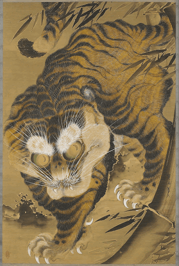 tiger with large eyes and | Free Photo - rawpixel