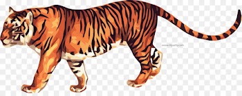 Tigger Clip art Image GIF Bengal tiger - tiger frame 