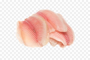 Tilapia Fish fillet Fish fillet Fish steak - fish 