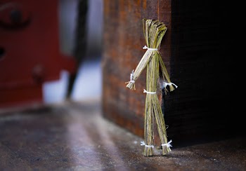 Tilt Shift Lens Photography of Brown Stand Twigs