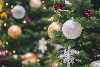 Tilt-shift Photography Of Green Christmas Tree With Baubles