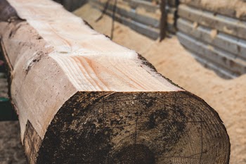 Timber
