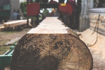 Timber 2
