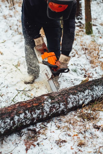 Timber Lumberjack with Motor Saw. Made with Canon 5d Mark III and loved analog lens, Leica Summilux-R 1.4 / 50mm (Year: 1983)