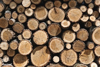 Timber patterned background | Free stock photo - 16439