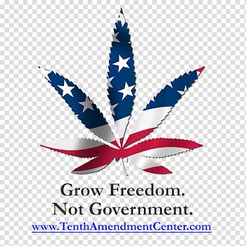Timberline Herbal Clinic and Wellness Center Medical cannabis Cannabis smoking Legality of cannabis, cannabis transparent background PNG clipart