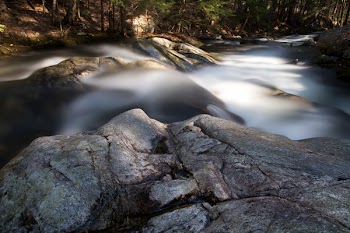 Time-lapse Photograph of Stream Between Trees