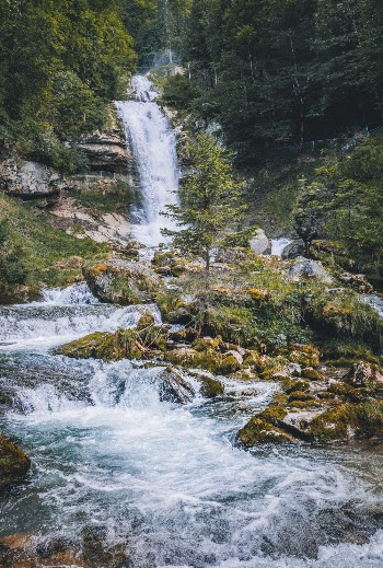 Time-lapse Photograph of Waterfalls