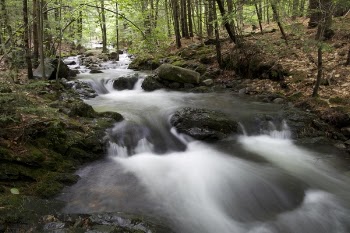 Time Lapse Photography of Body of Water