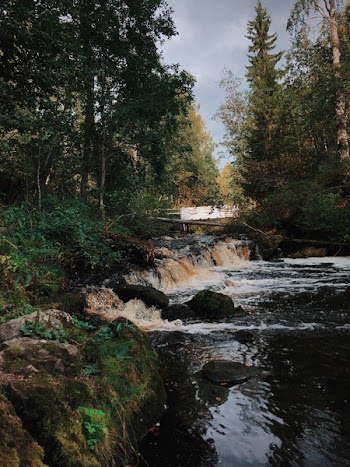 Time Lapse Photography of Flowing River Near Trees