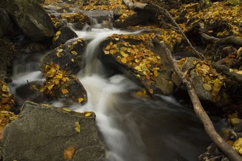 Time-lapse Photography of Flowing Water