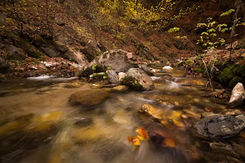 Time Lapse Photography of River