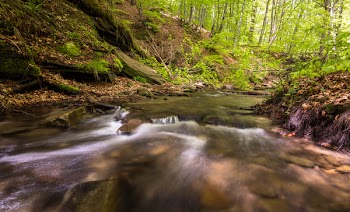 Time Lapse Photography of River
