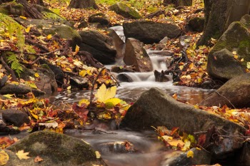 Time-lapse Photography of River