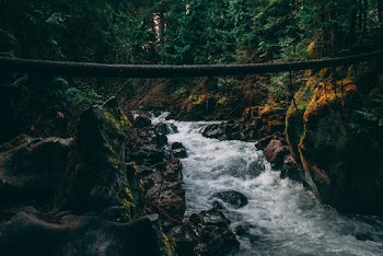 Time Lapse Photography of River