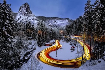 time-lapse photography of road surrounded by pine trees coated with snow