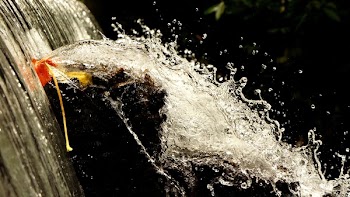 Time-lapse Photography of Water Splashing on Brown Rock during Dytime