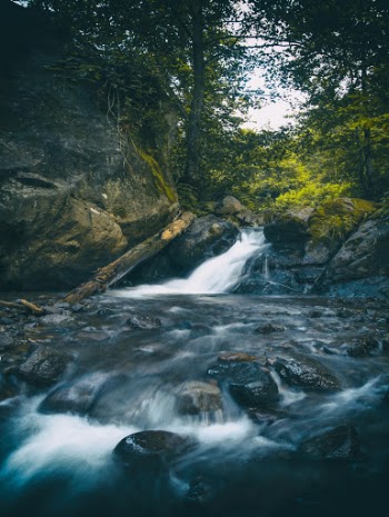 Time Lapse Photography of Waterfall