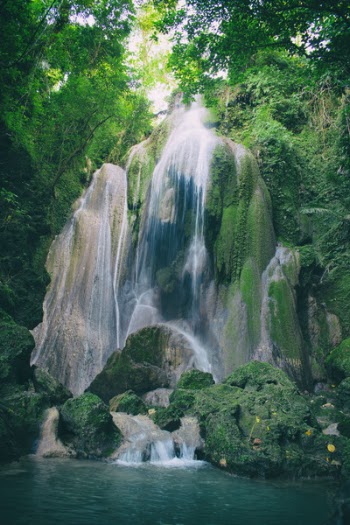 Time Lapse Photography of Waterfalls Between Tall Trees
