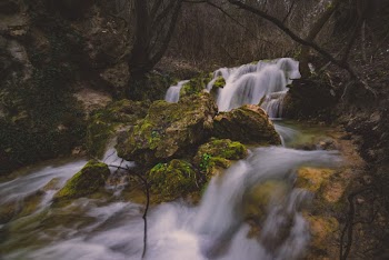 Time-Lapse Photography of Waterfalls Near Mossy Rocks