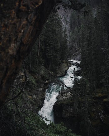 Time-lapse Photography of Waterfalls Surrounded by Trees