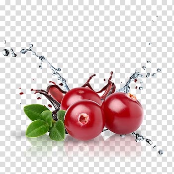 Time-lapsed of a water dew on berries, Dietary supplement Cranberry Mannose Vitamin Tablet, dry fruit transparent background PNG clipart