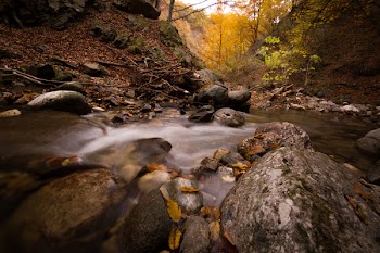 Time-lapsed Photo of Creek and Trees