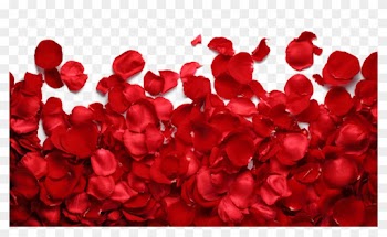 Time Shawty Song Sugar Too Bad Bandits - Rose Petals Png