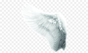 Time to Meet the Angels Mariology of the Catholic Church Co-Redemptrix - White angel wings 