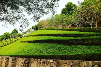 Timelapse Photo of Layered Green Grass Field