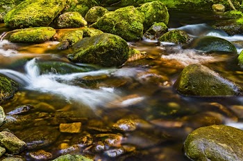 Timelapse Photography of River Flowing Through Moss-covered Rocks