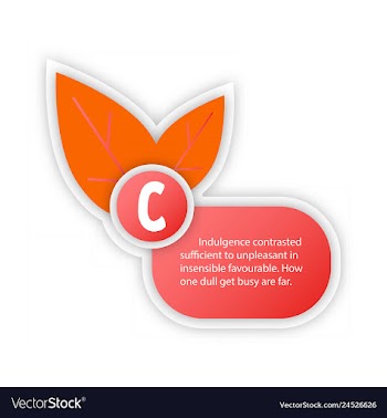 Timeline infografic hand drawn elements vector image